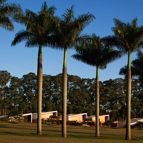 Fazenda Boa Vista