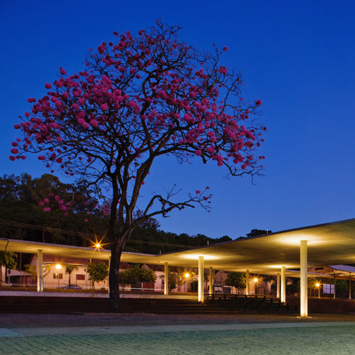 Centro Cultural de Araras