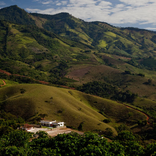 Dom Viçoso House