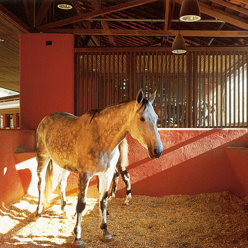 Polana Equestrian Center