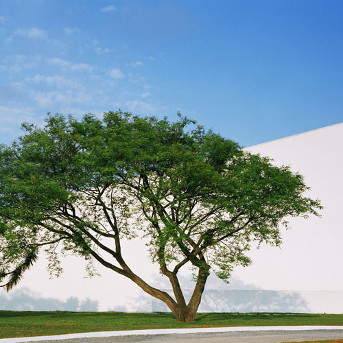 Auditório Ibirapuera